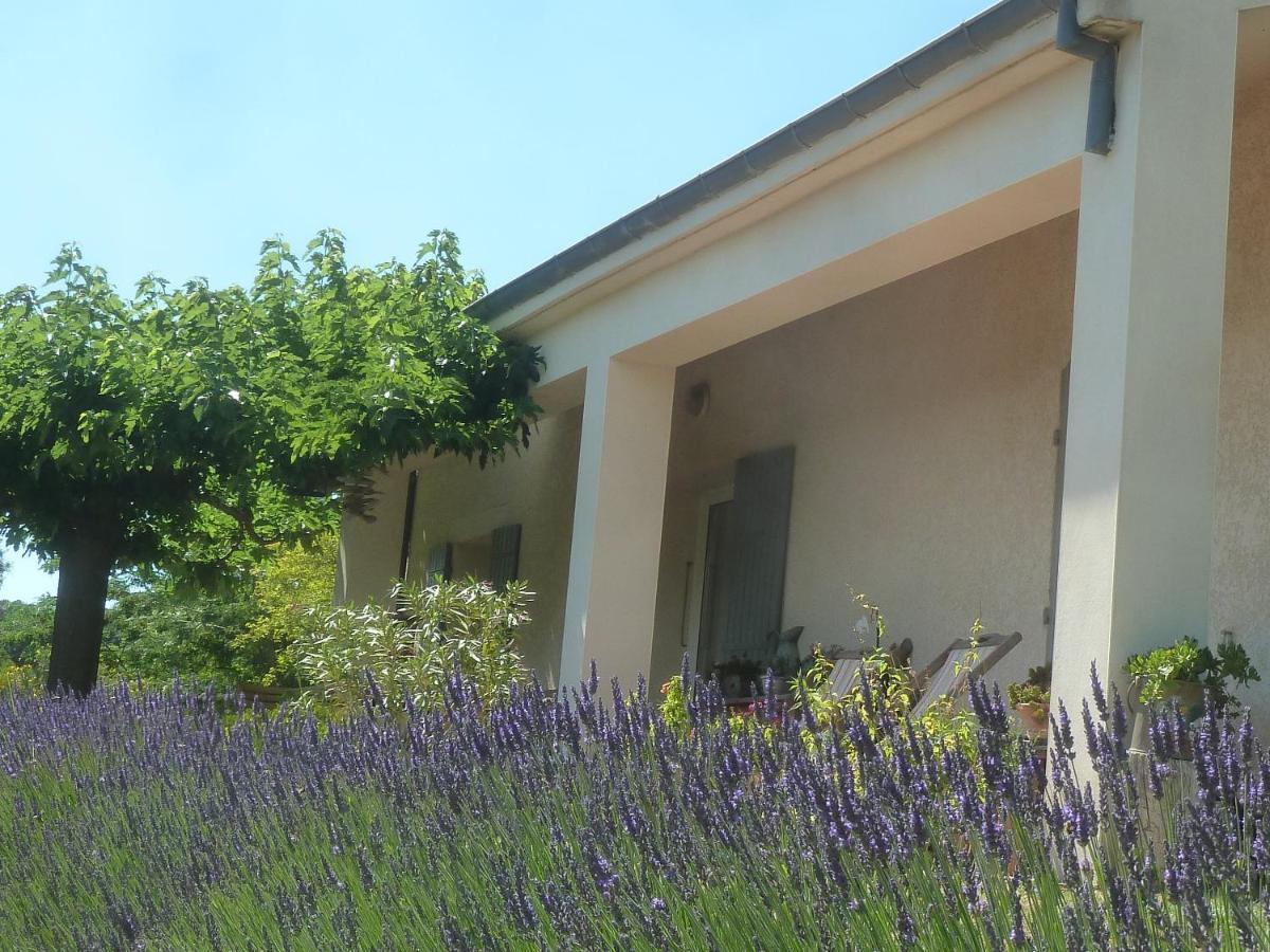 Une Ronce Sous Le Figuier Rousset-les-Vignes Exterior foto